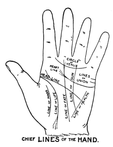 传统手相学中的主要掌纹线示意图